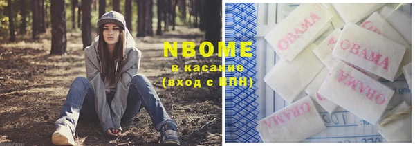 соль ск Осташков